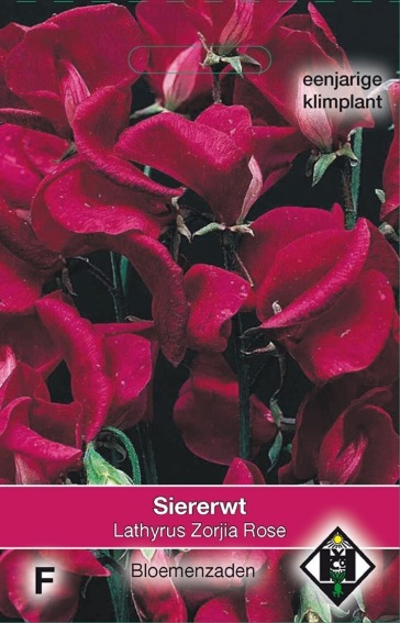 Reukerwt Zorjia Rose (Lathyrus odoratus) 40 zaden